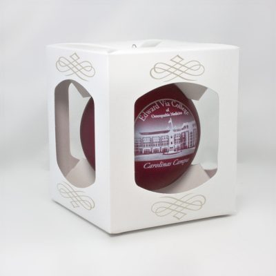 Glass ornament packaging